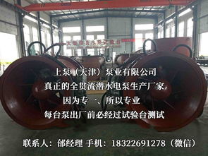 探索流體世界的隱秘力量 潛水貫流泵、全貫流閘門泵、燈泡泵與臥式全貫流泵技術(shù)解析